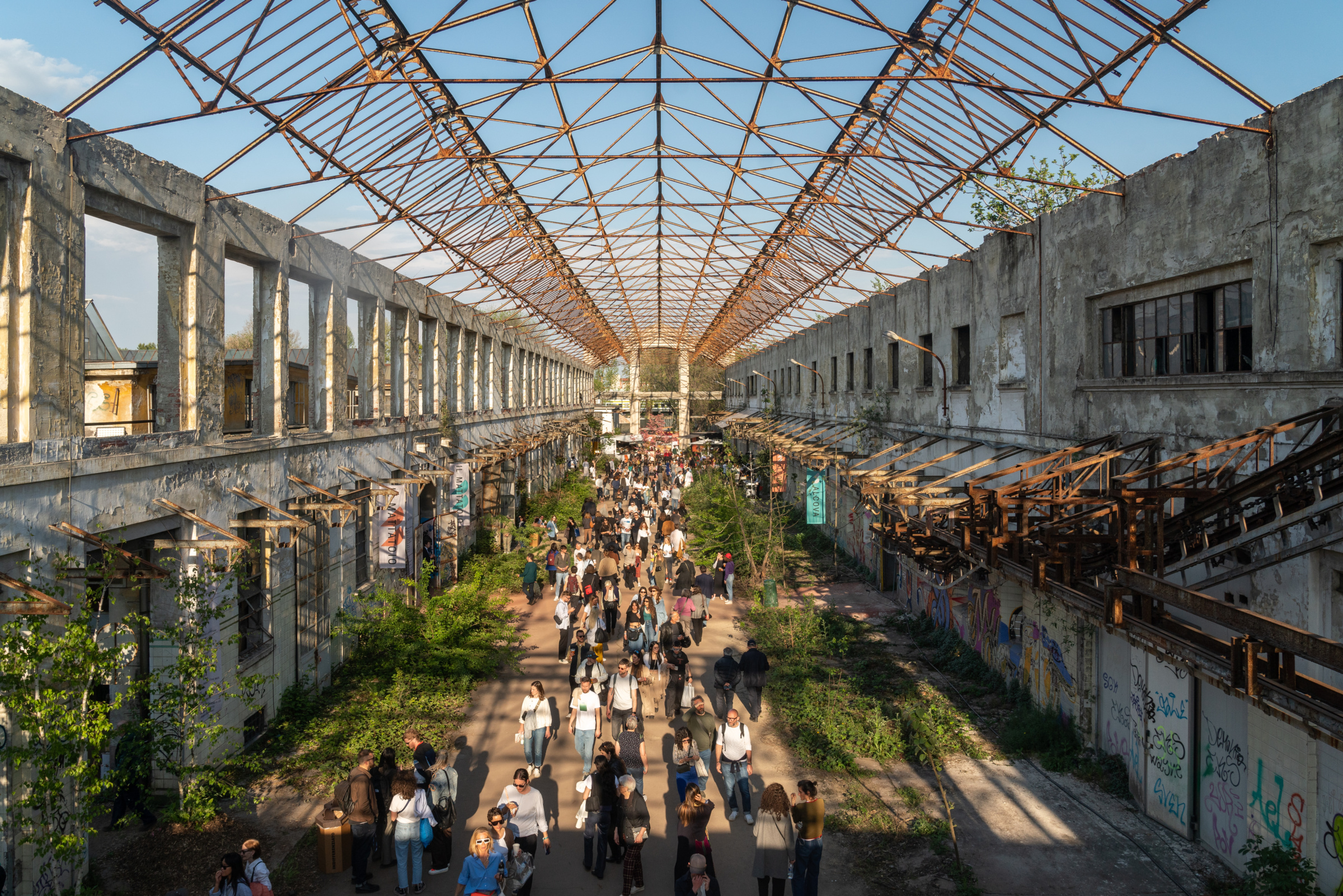 alcova 2023 main hall