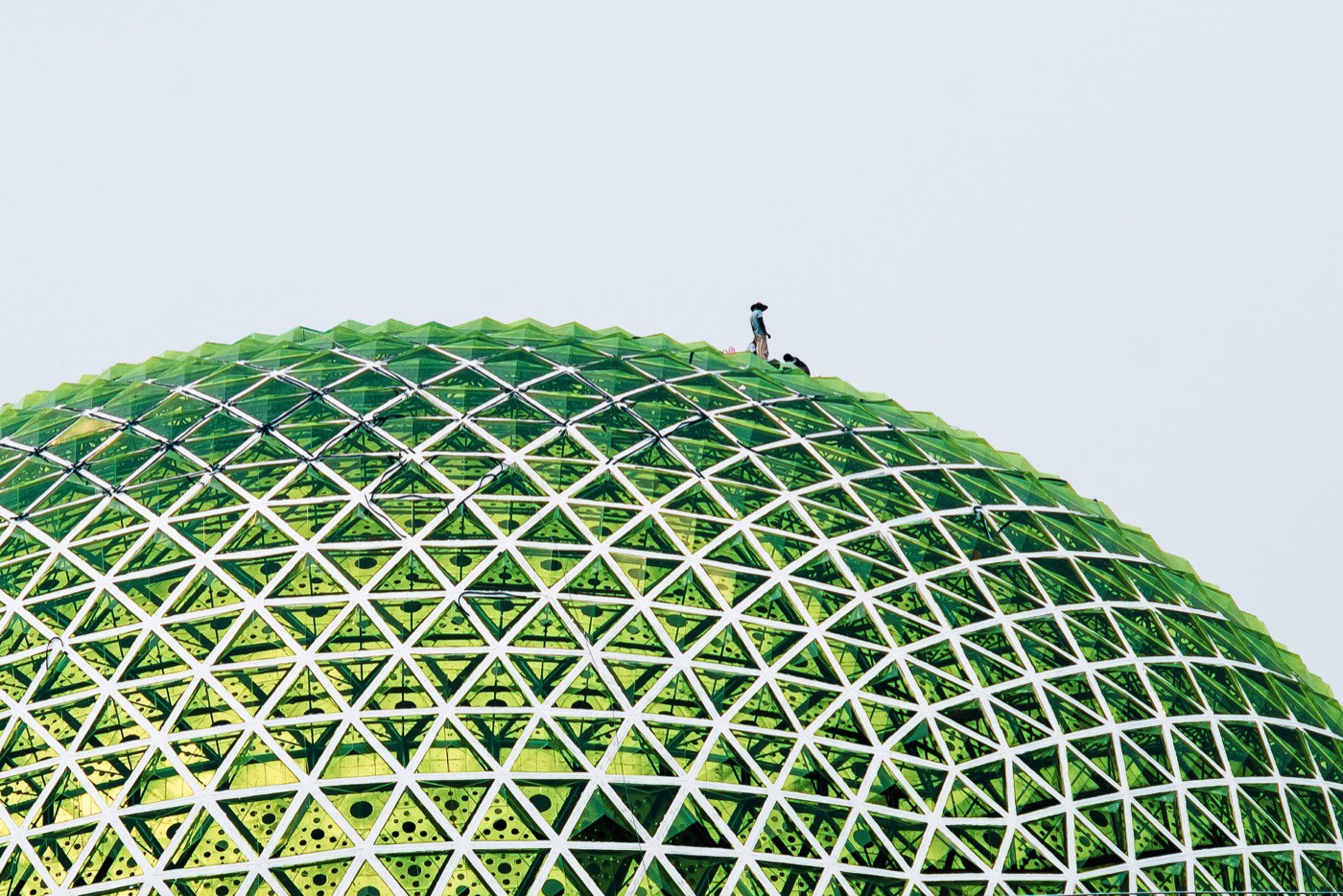 EyeEm Awards green dome.