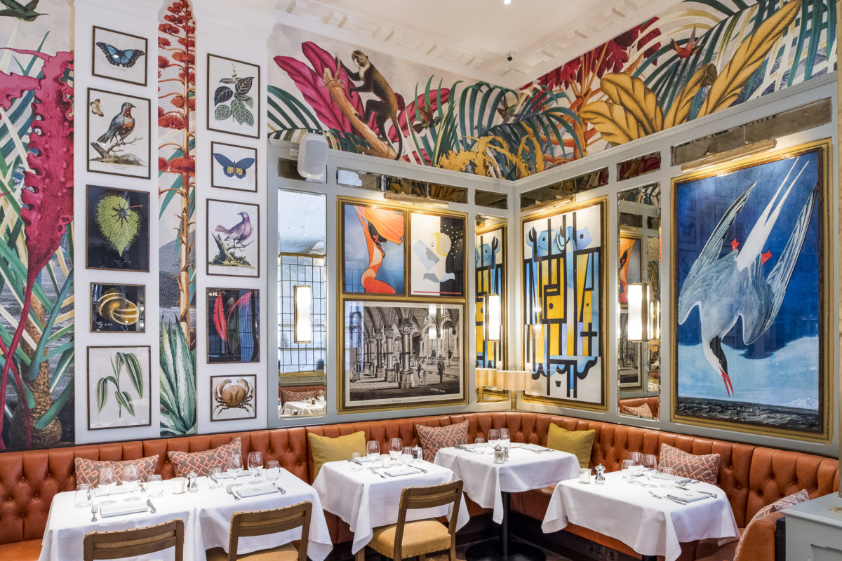 the ivy brighton interiors sixtysix magazine