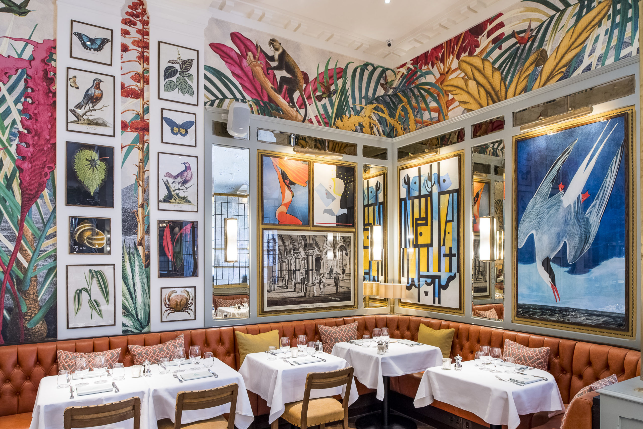 the ivy brighton interiors sixtysix magazine