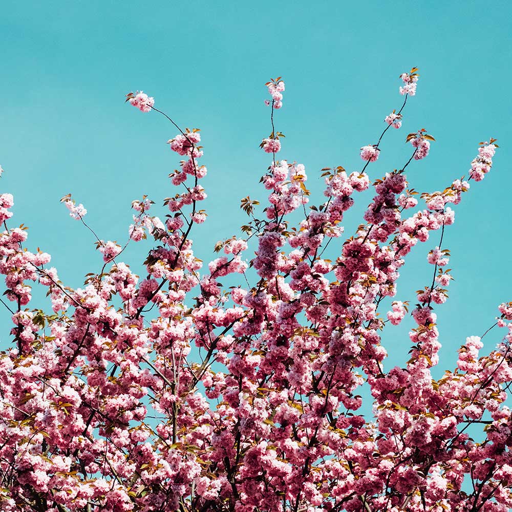 Photography by Kata Radovic