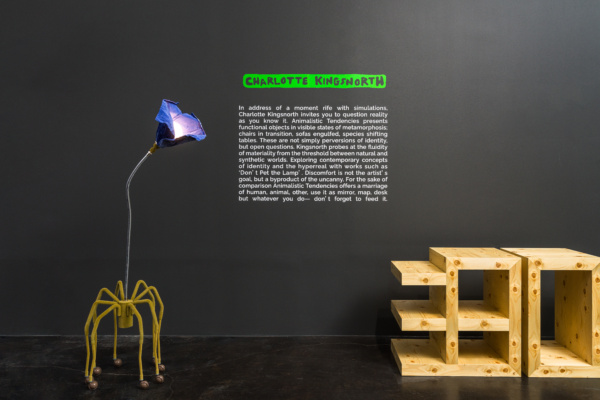 Charlotte Kingsnorth at Objective Gallery 08