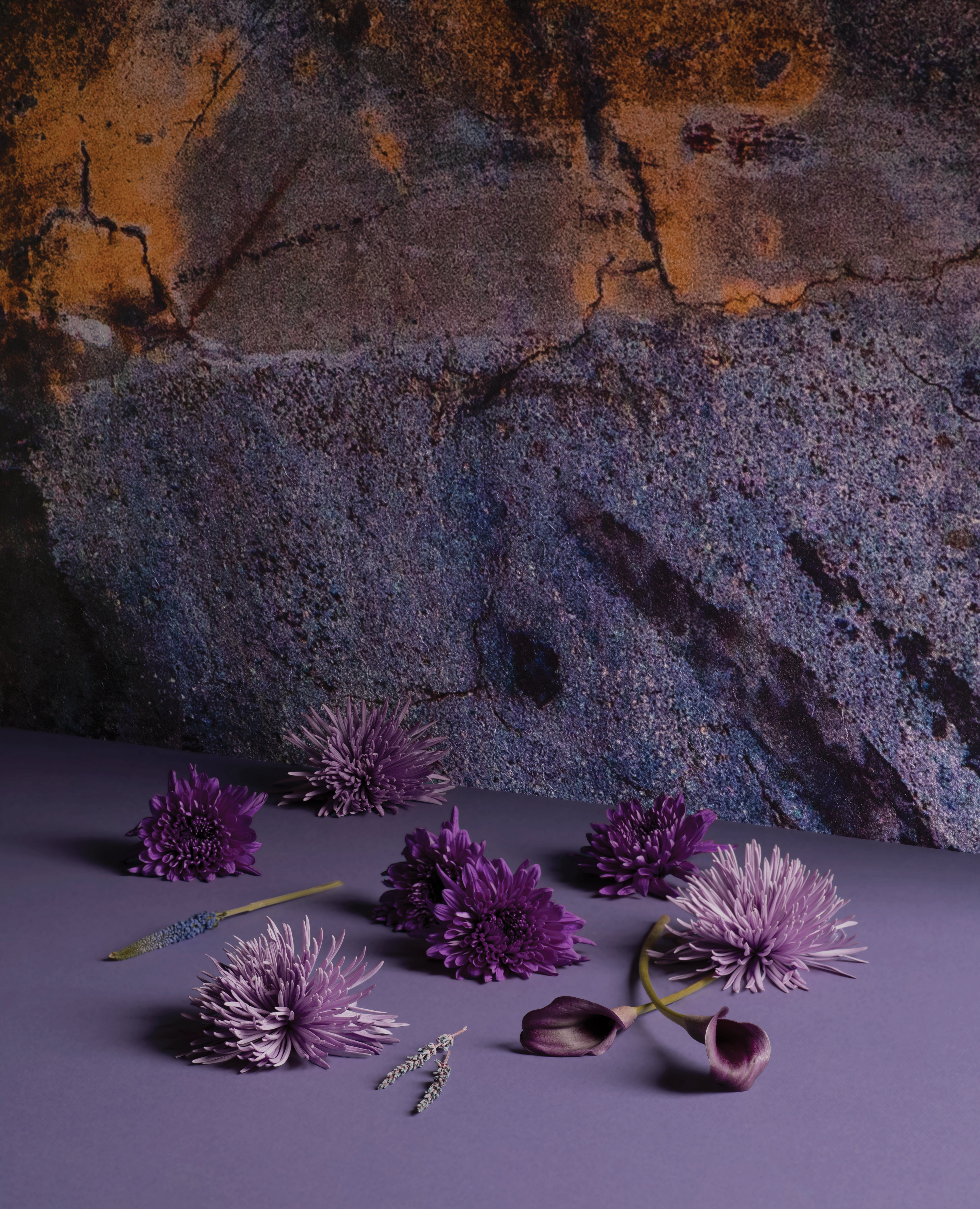 astek sixtysix 09 01 crop