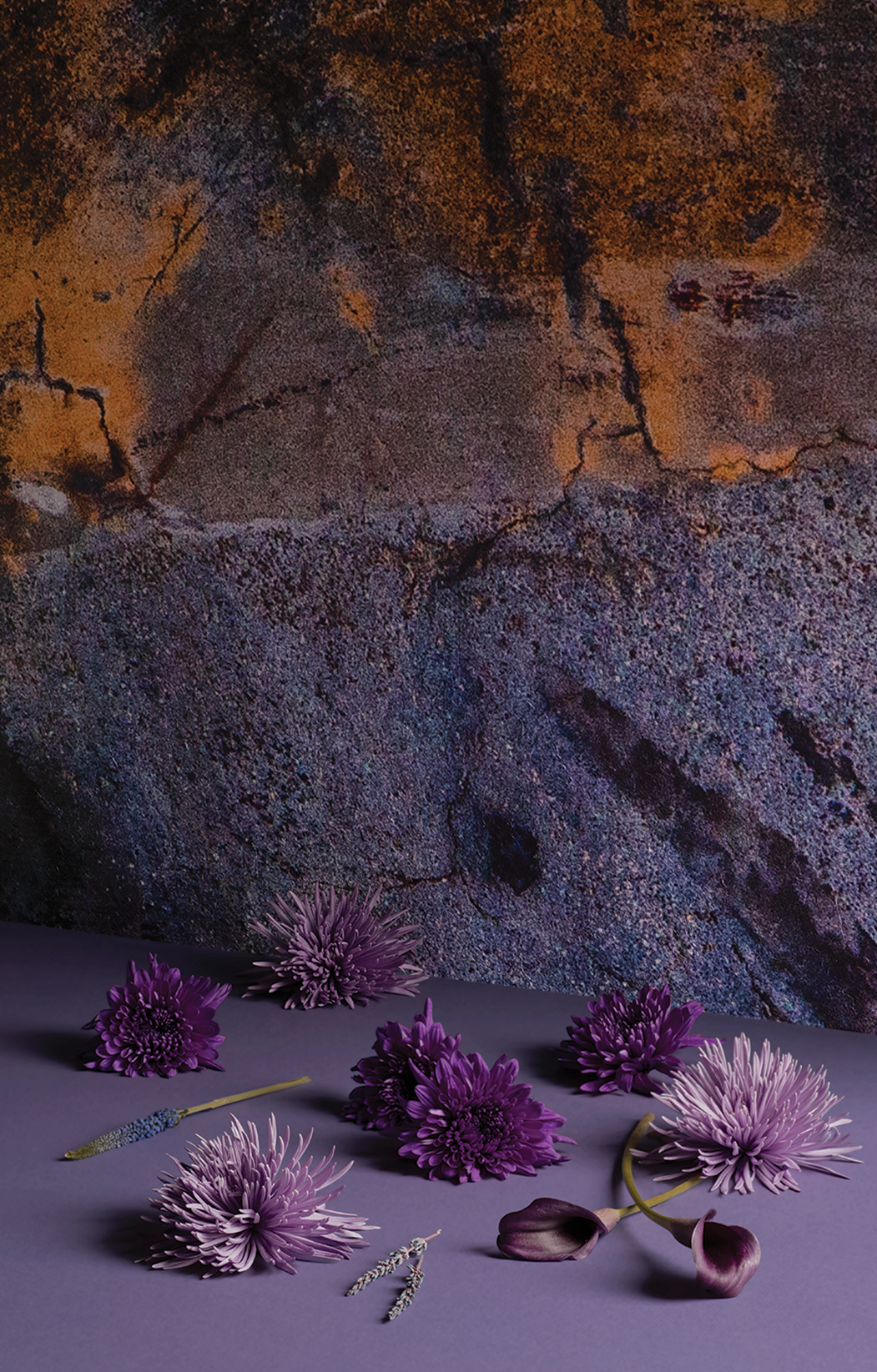 astek sixtysix 09 01