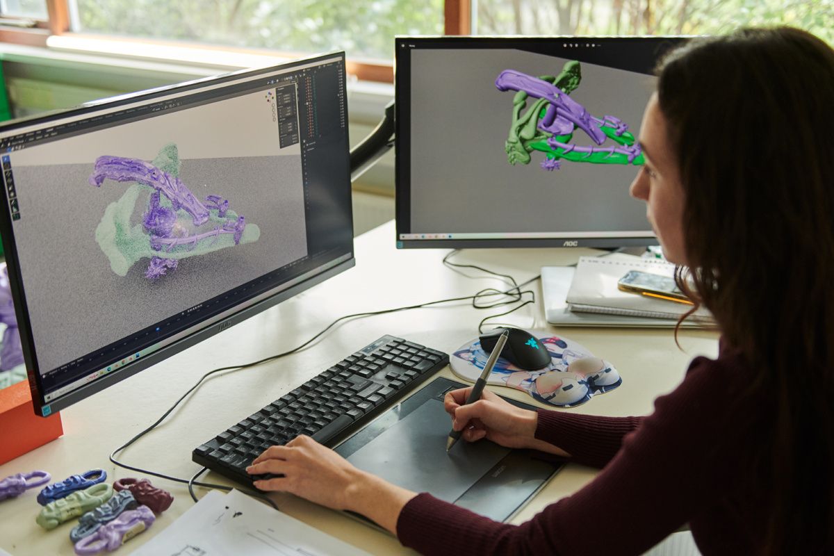 audrey large marcel wanders sixtysix 05