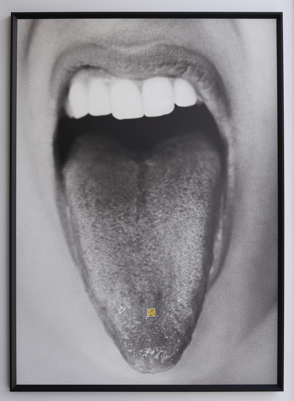 Brian Bowen Smith and brandon boyd 07