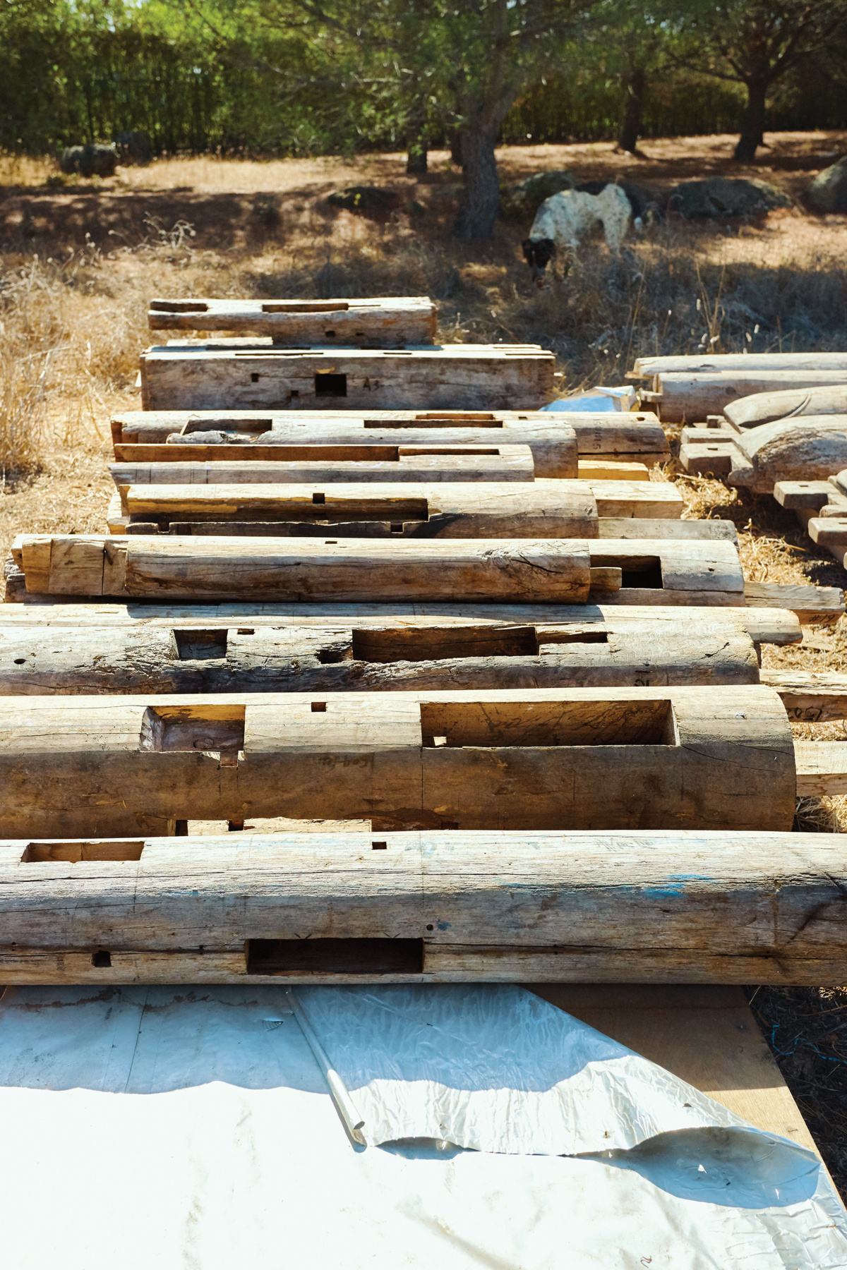 ai weiwei sixtysix mag 01