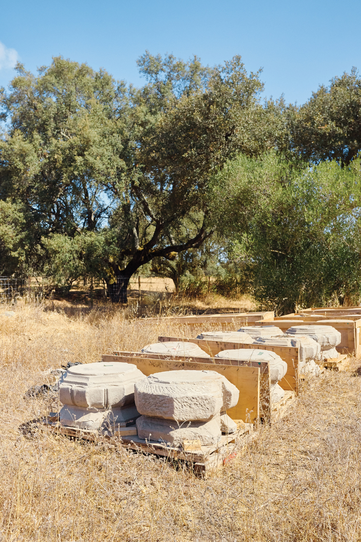 ai weiwei sixtysix mag 07