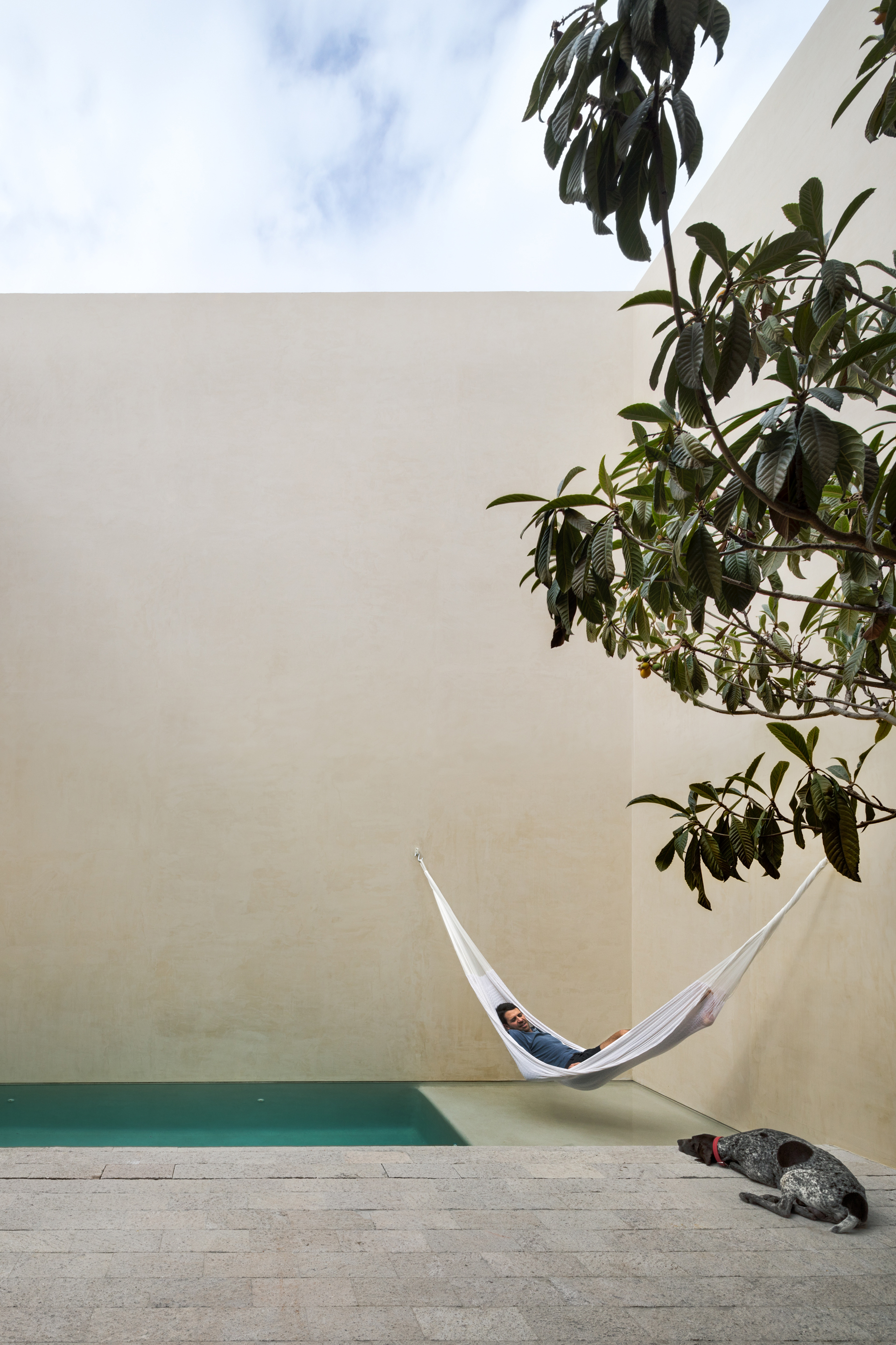 PPAA La Quinta - backyard