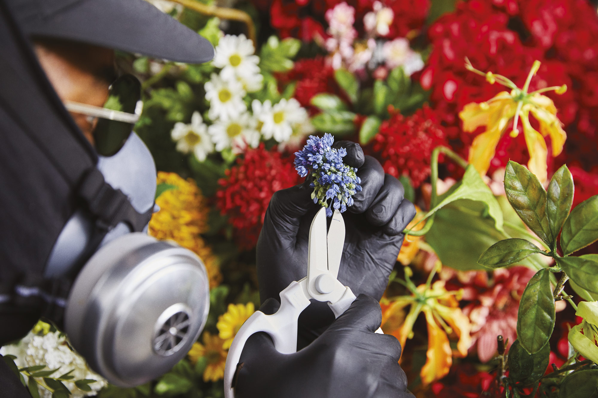 Mr-Flower-Fantastic-Cutting-Sixtysix-Magazine