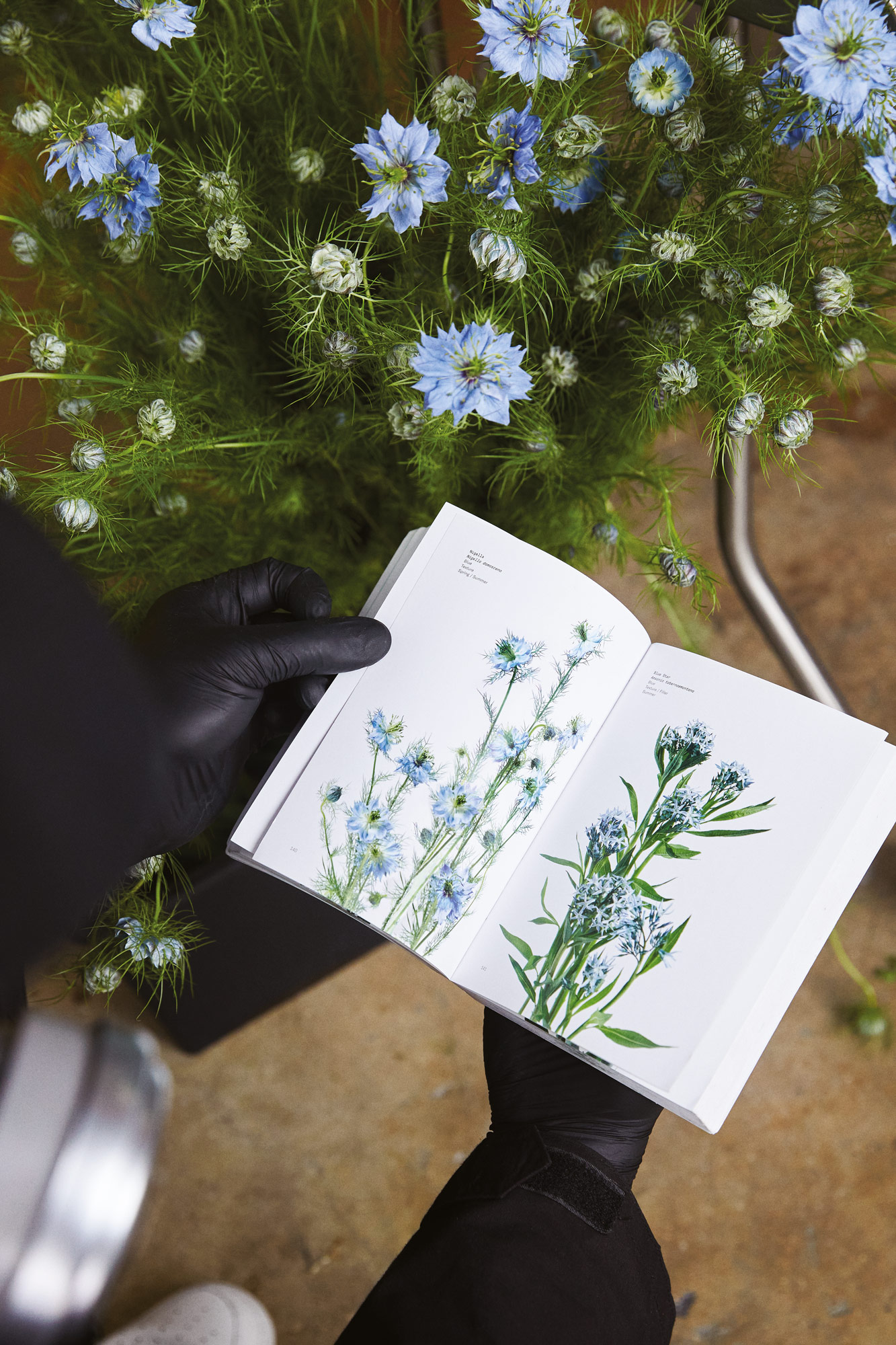 Mr Flower Fantastic Flower Guide