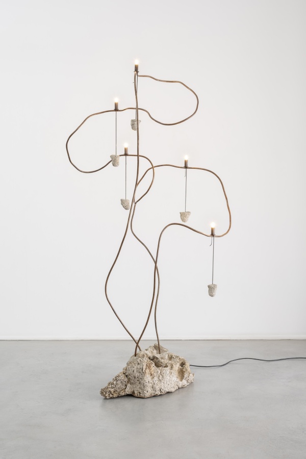 Copper Roots by JAMESPLUMB. Gallery Fumi