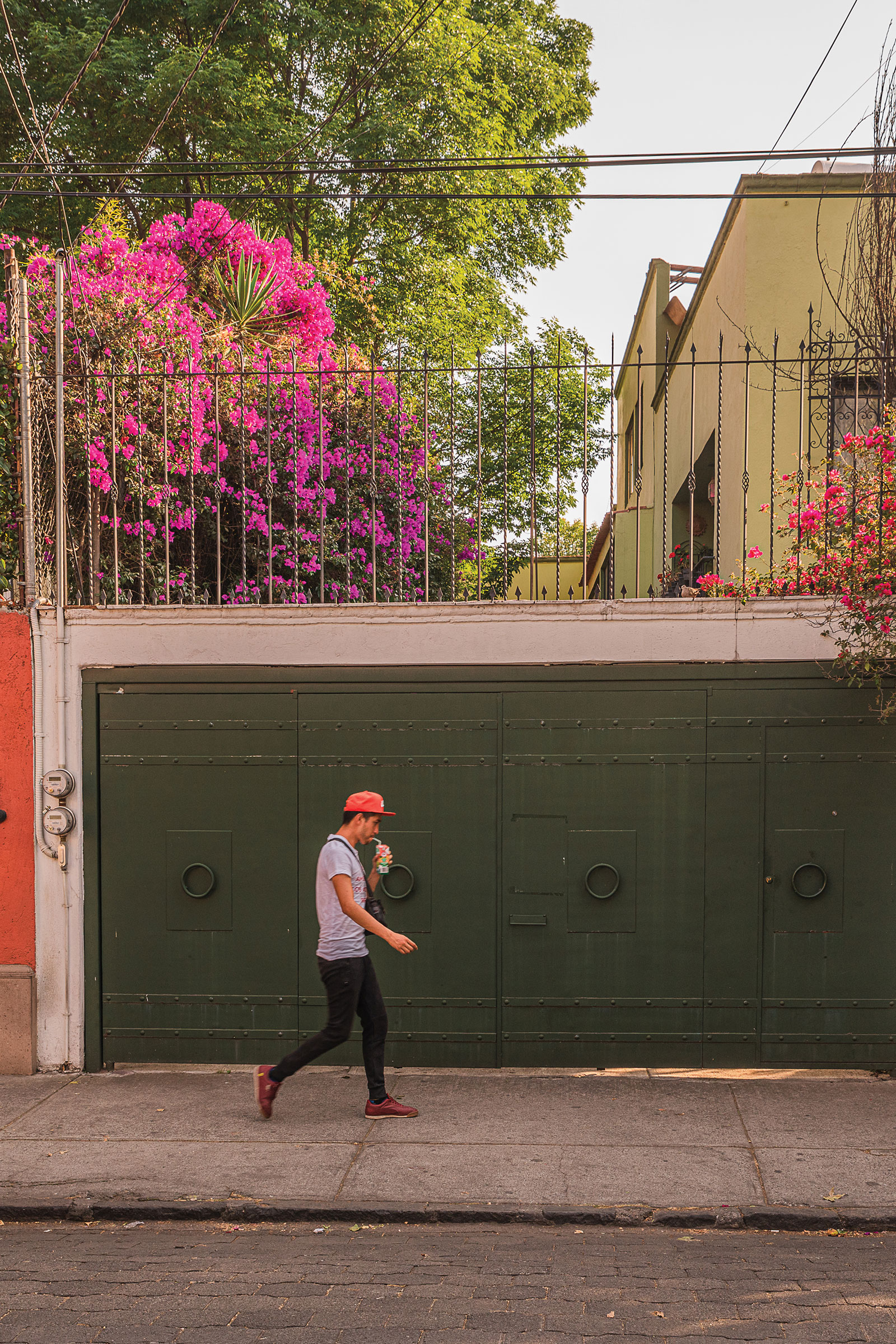 Trips Luggage Mexico City