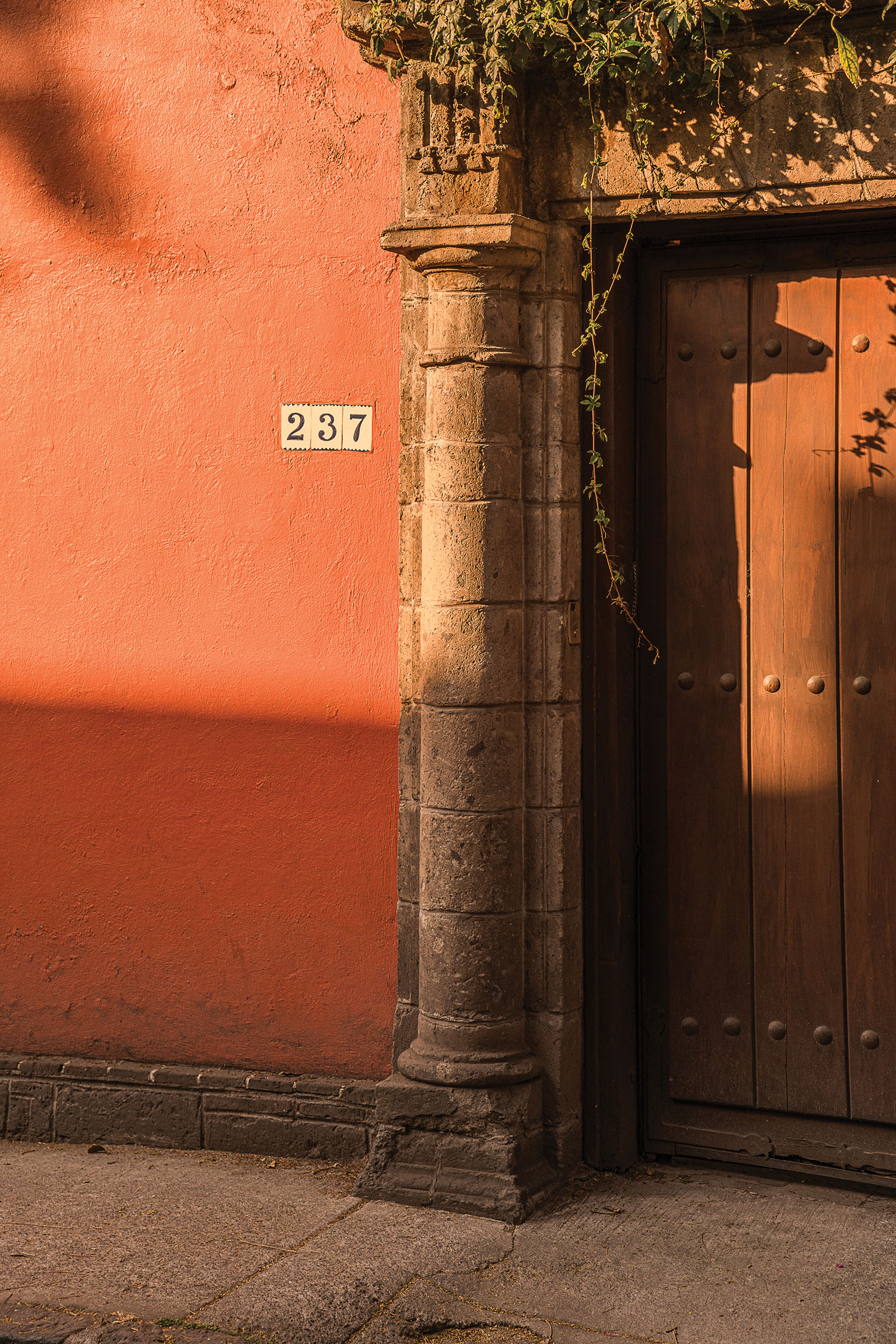 Trips Luggage Mexico City