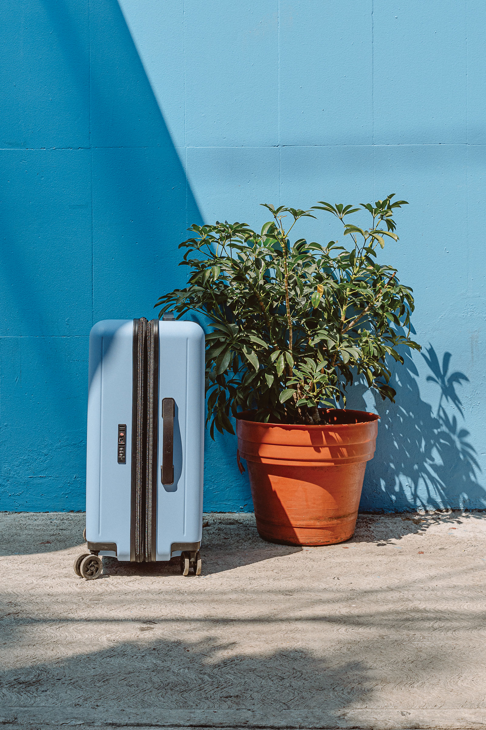 On The Road: Coyoacán