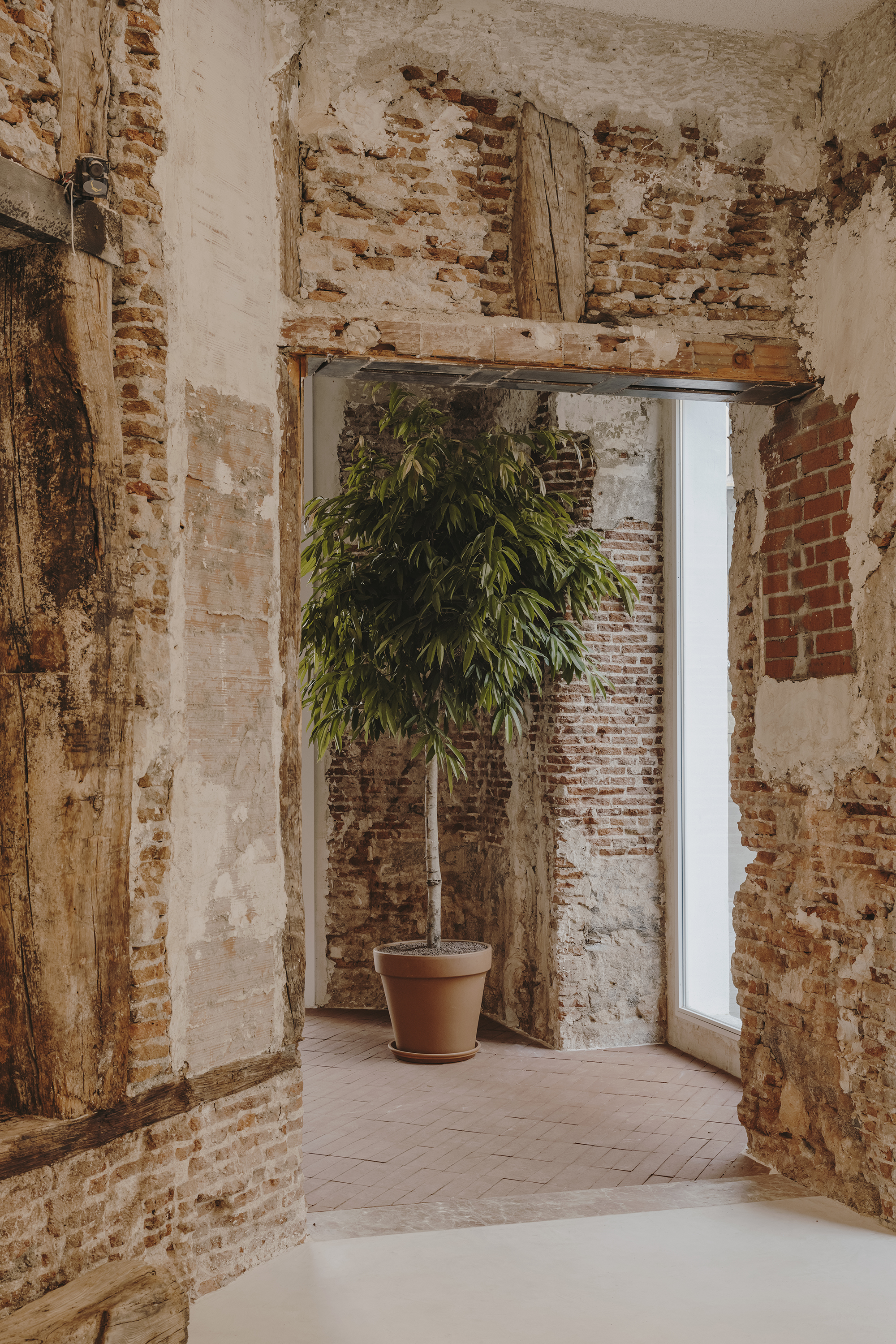 Veja Madrid by Plantea Estudio