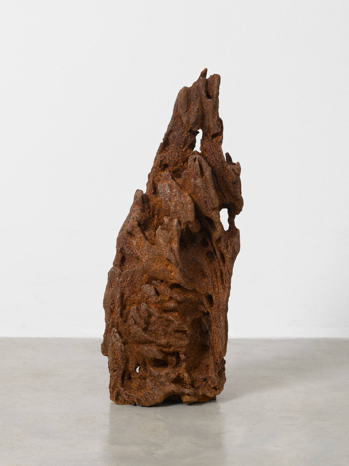 ai weiwei iron root 02