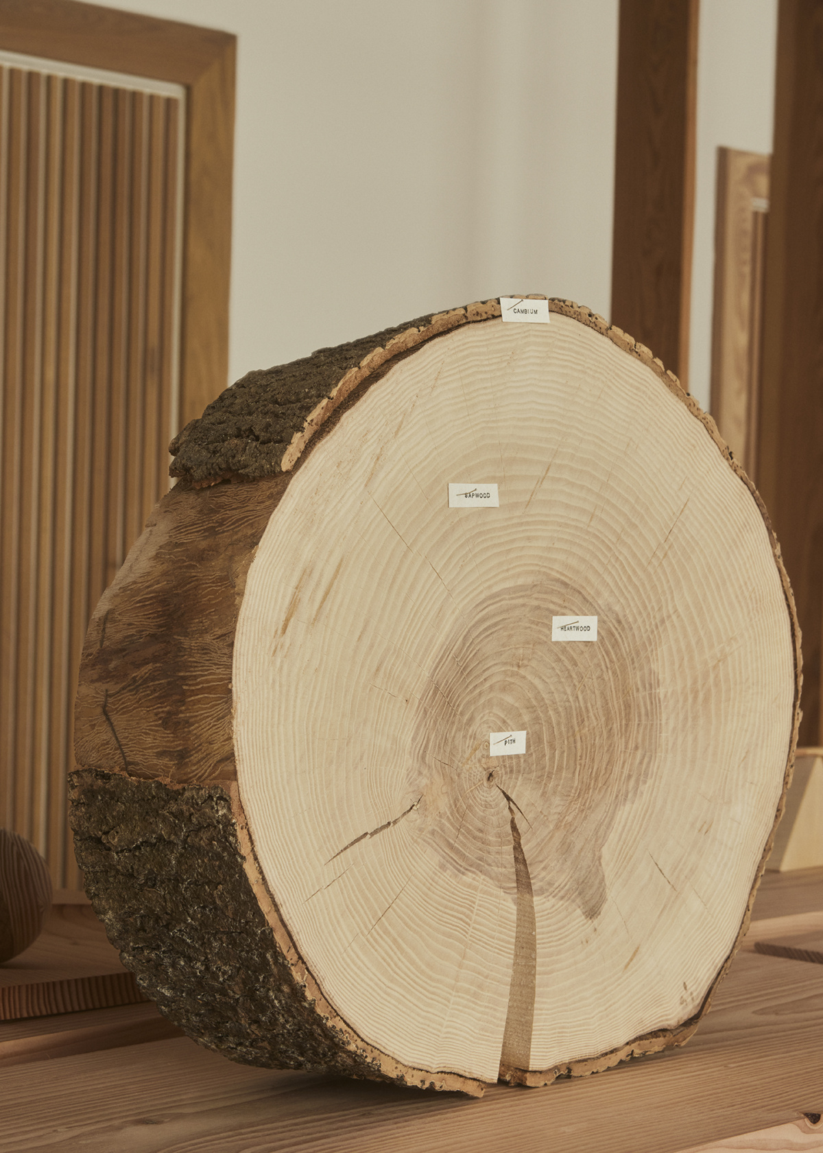 weight of wood christian and jade dinesen 07