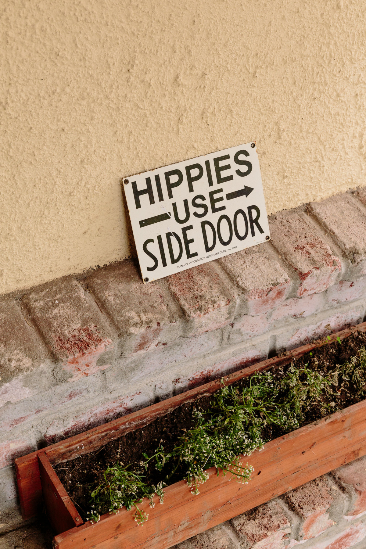 anne lamott home sixtysix magazine