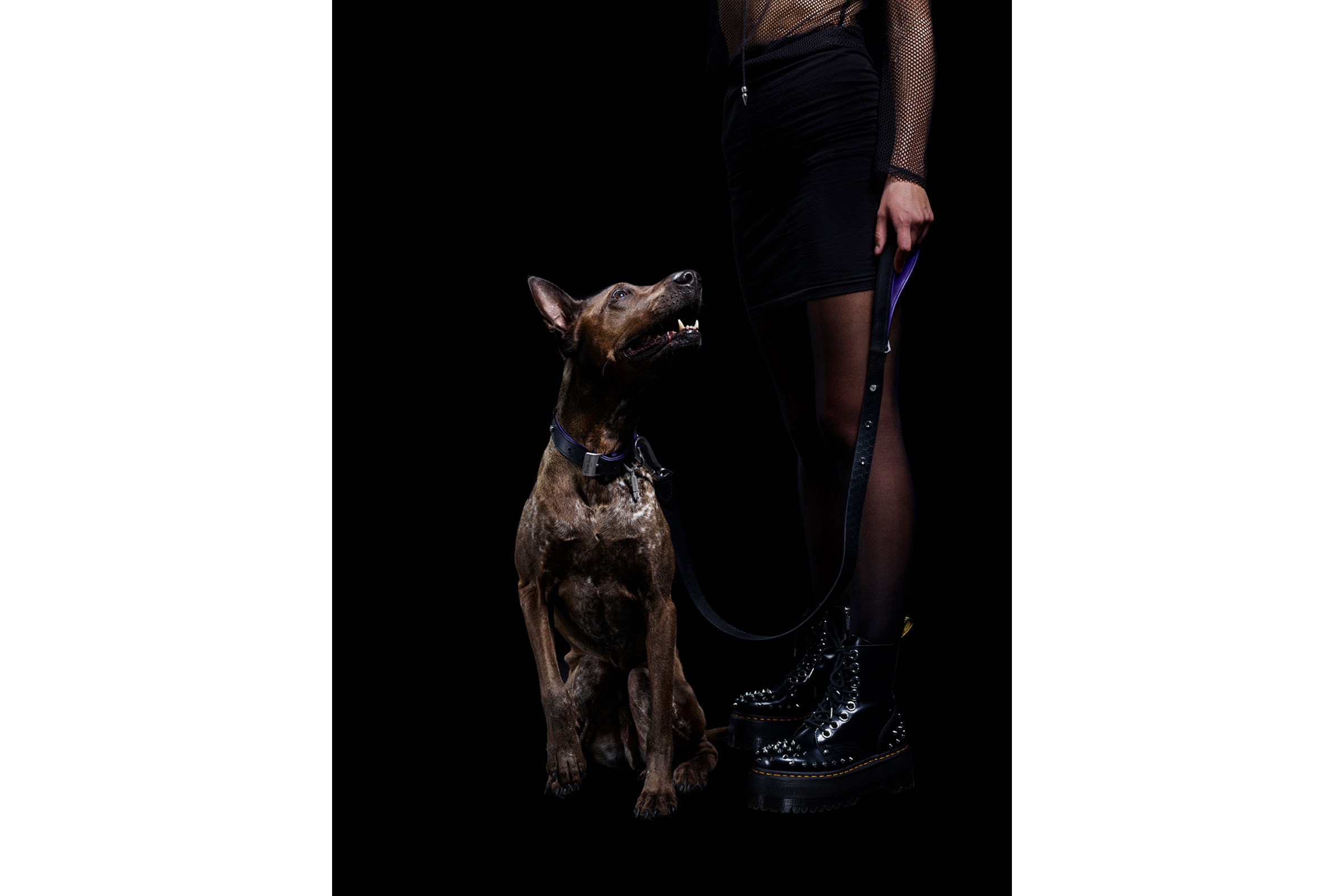 buster punch dog collar sixtysix magazine