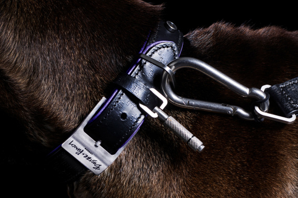 buster punch dog collar sixtysix magazine