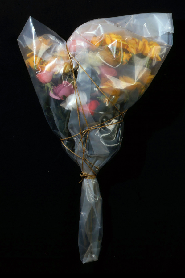 christo wrapped roses