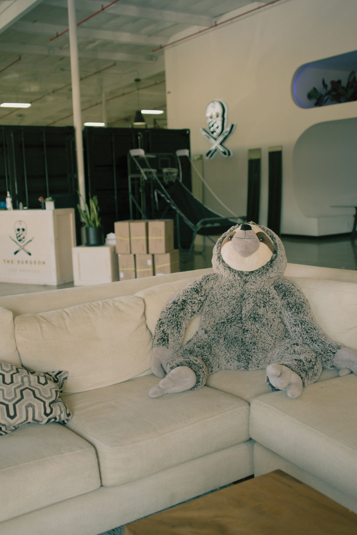 dominic ciambrone sixtysix magazine