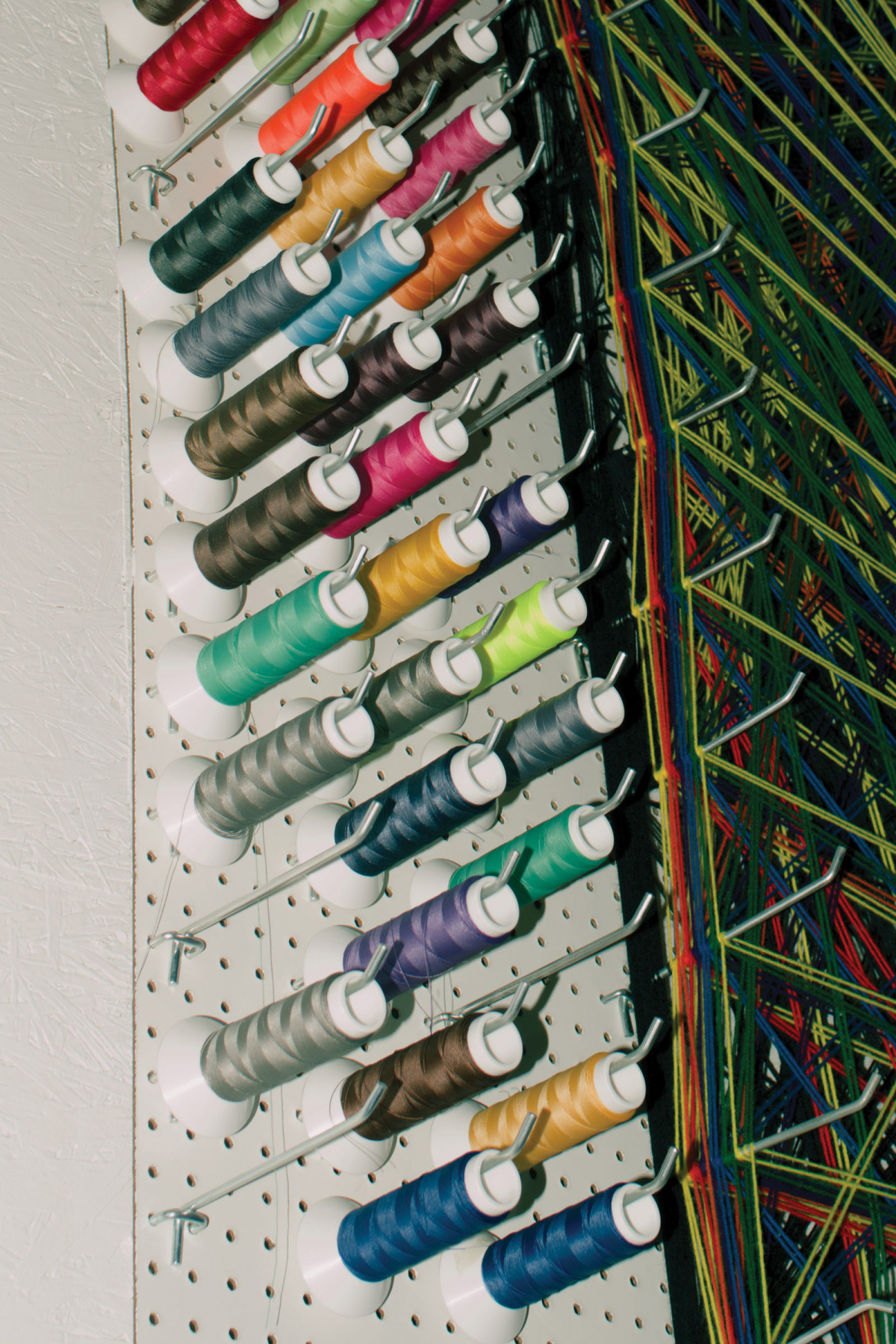 dominic ciambrone sixtysix magazine