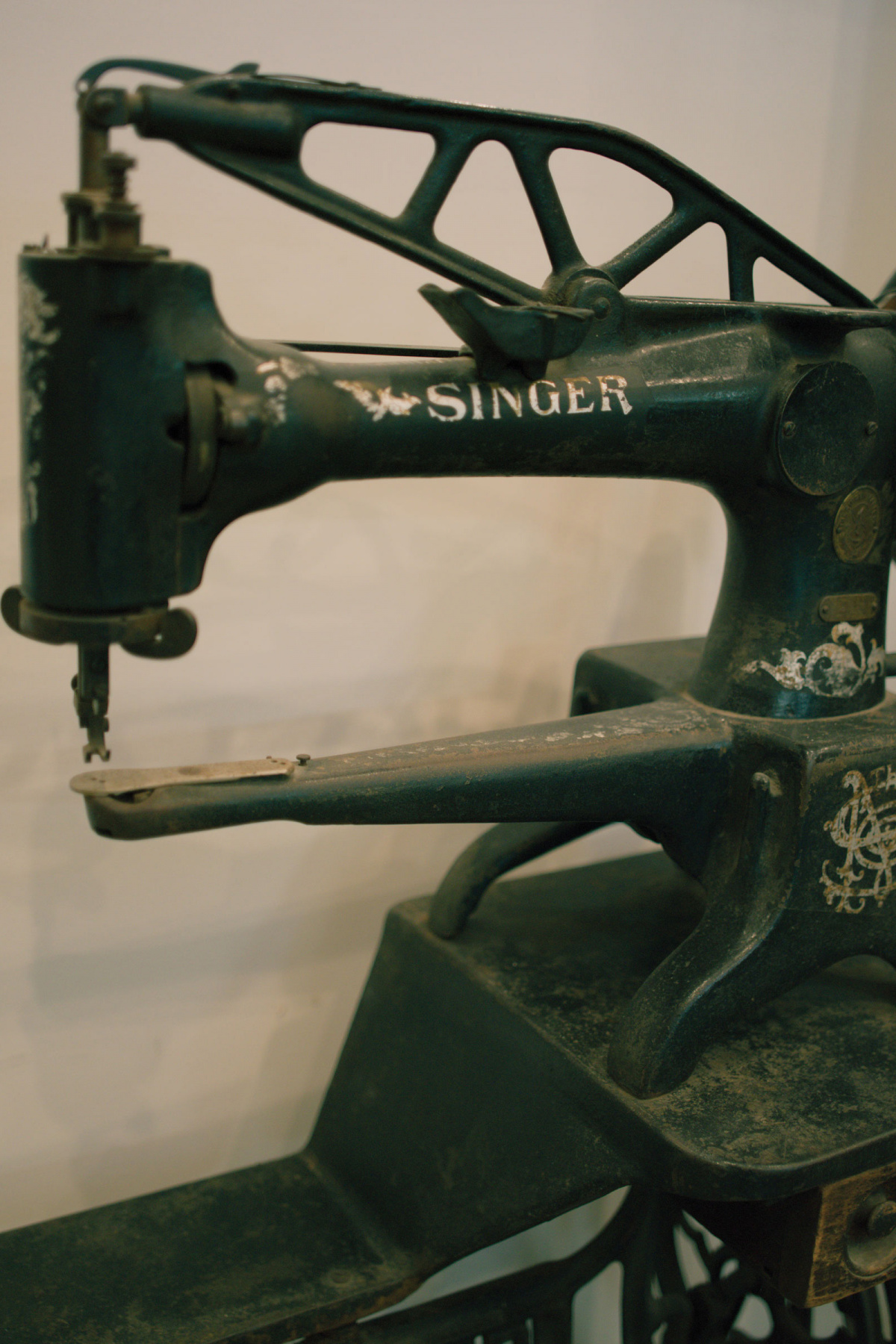 dominic ciambrone sixtysix magazine