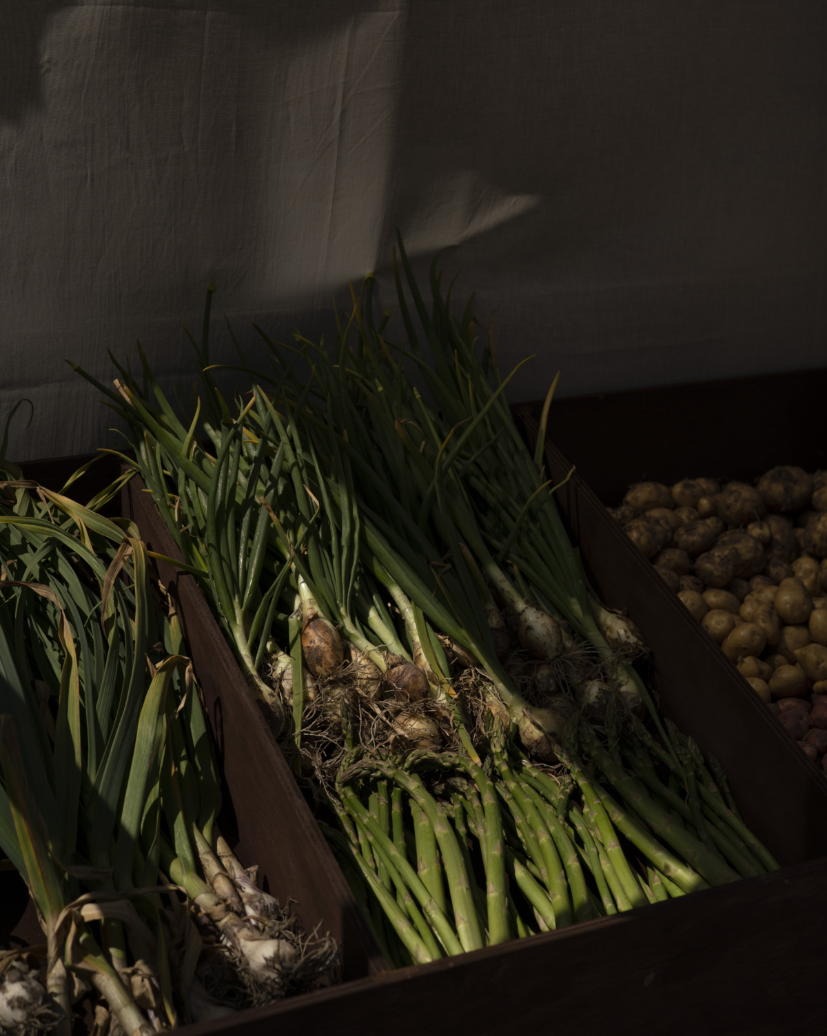 il mercato 3daysofdesign 03