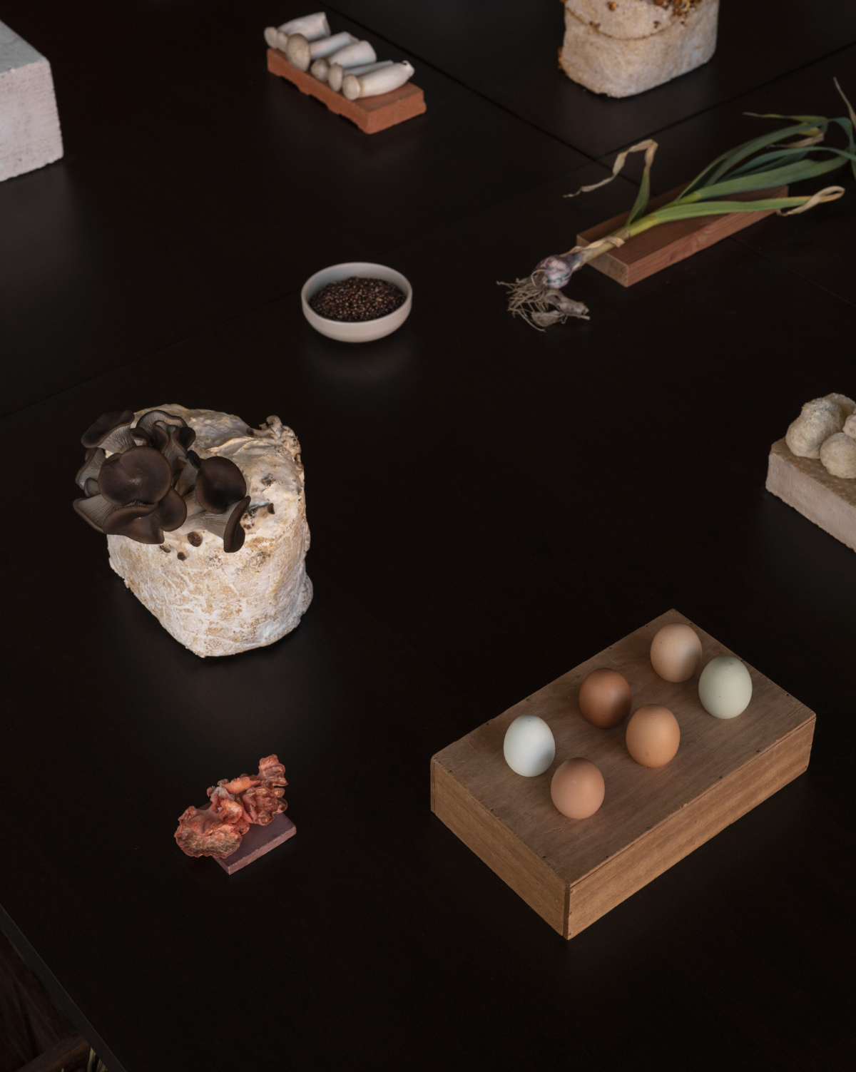 frama il mercato 3daysofdesign 05