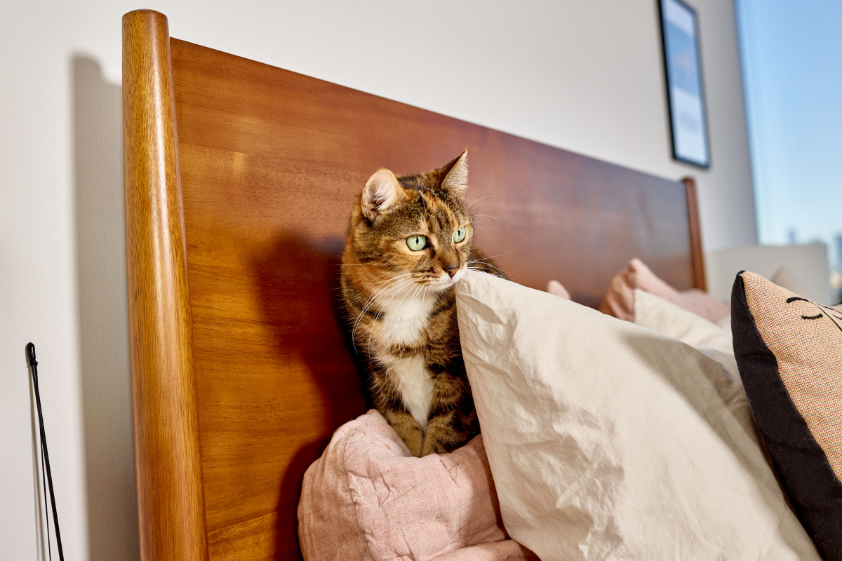 heidi gardner home sixtysix magazine