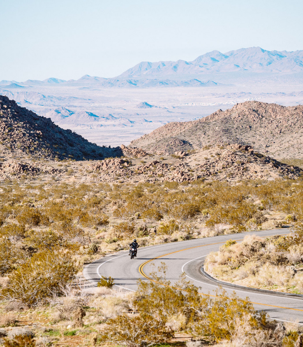 Joshua Treen National Park