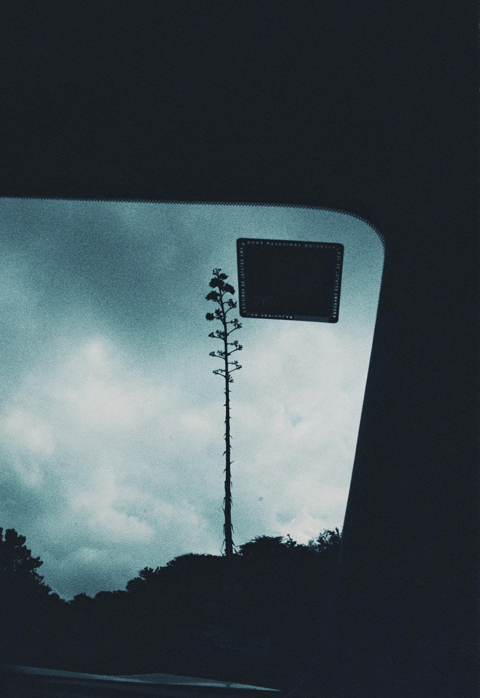 pia riverola mexico photography