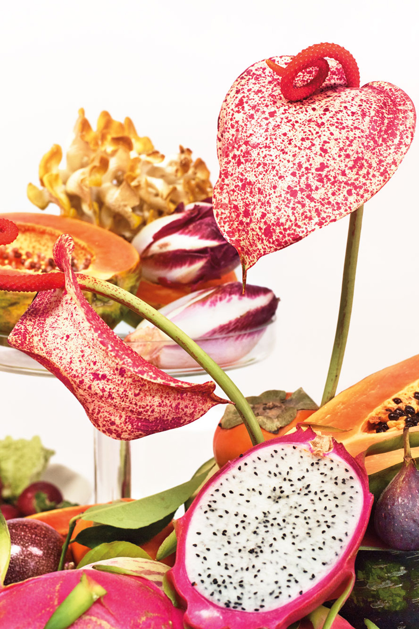 sixtysix roanne adams roandco sakara life nutrition