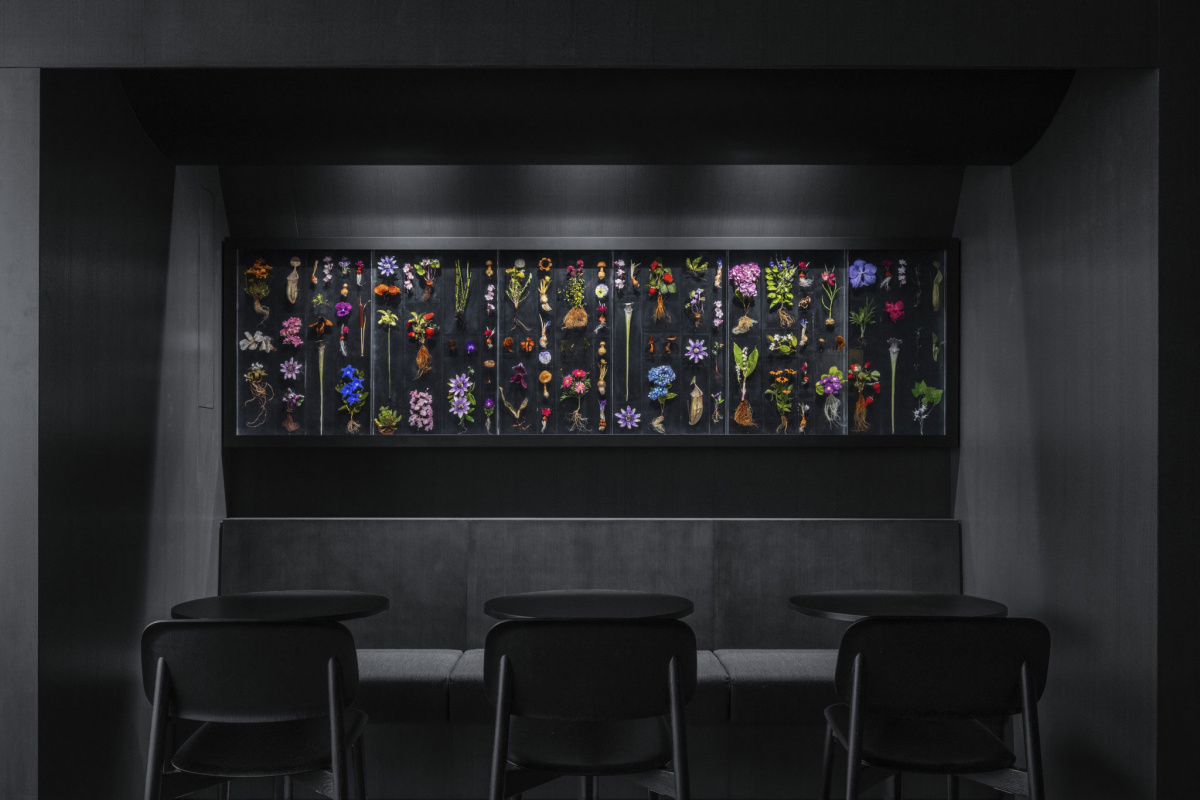 snohetta burnside sixtysix magazine