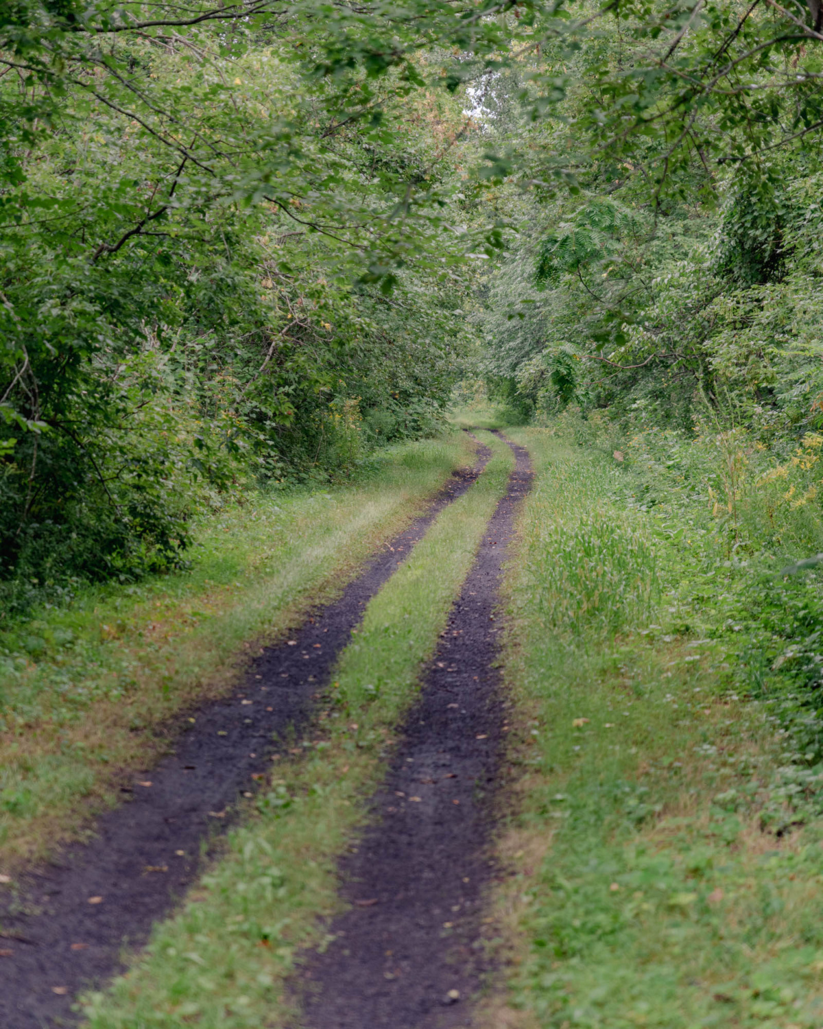 specialized turbo creo on the road 05