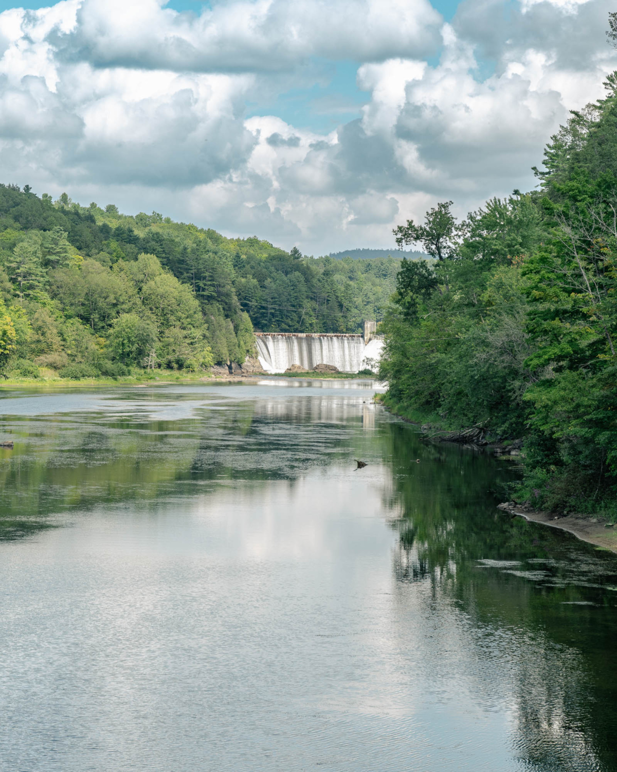 specialized turbo creo in vermont