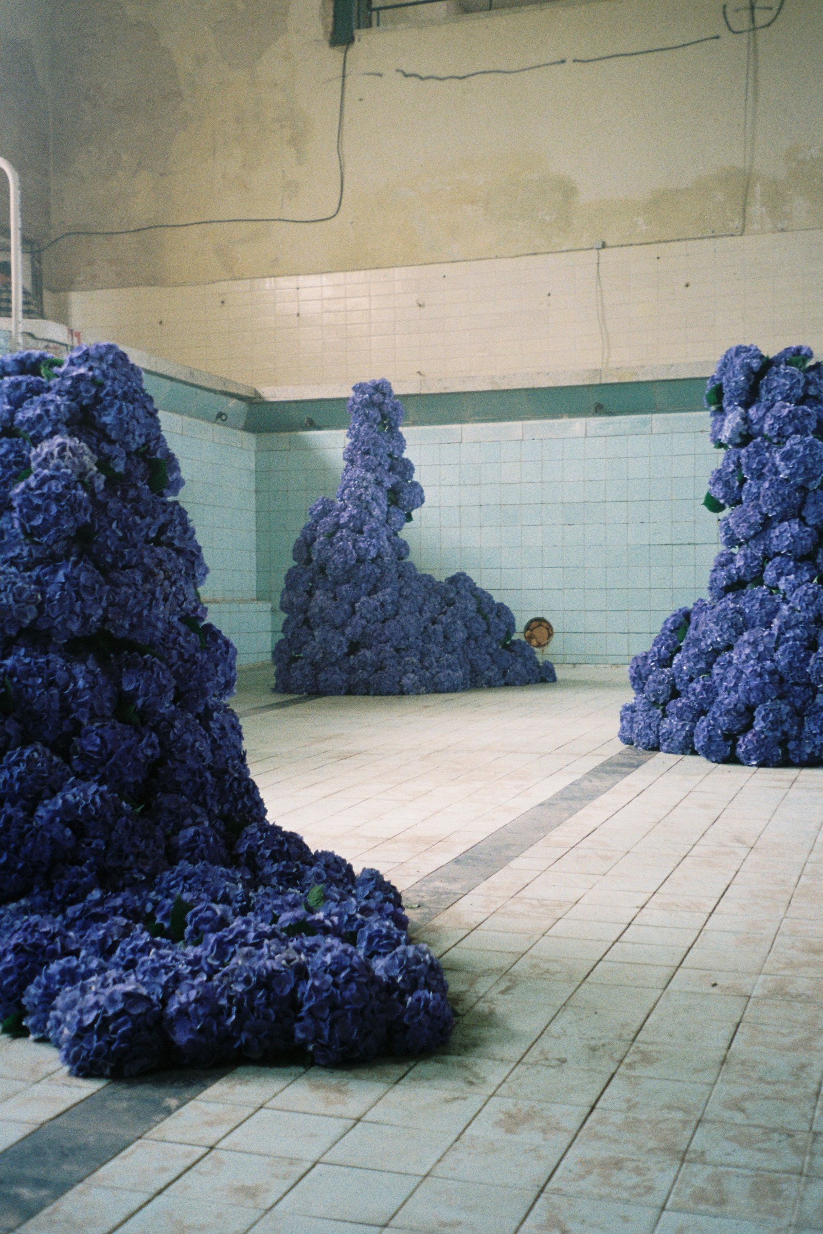 studiolilo sixtysix magazine 02