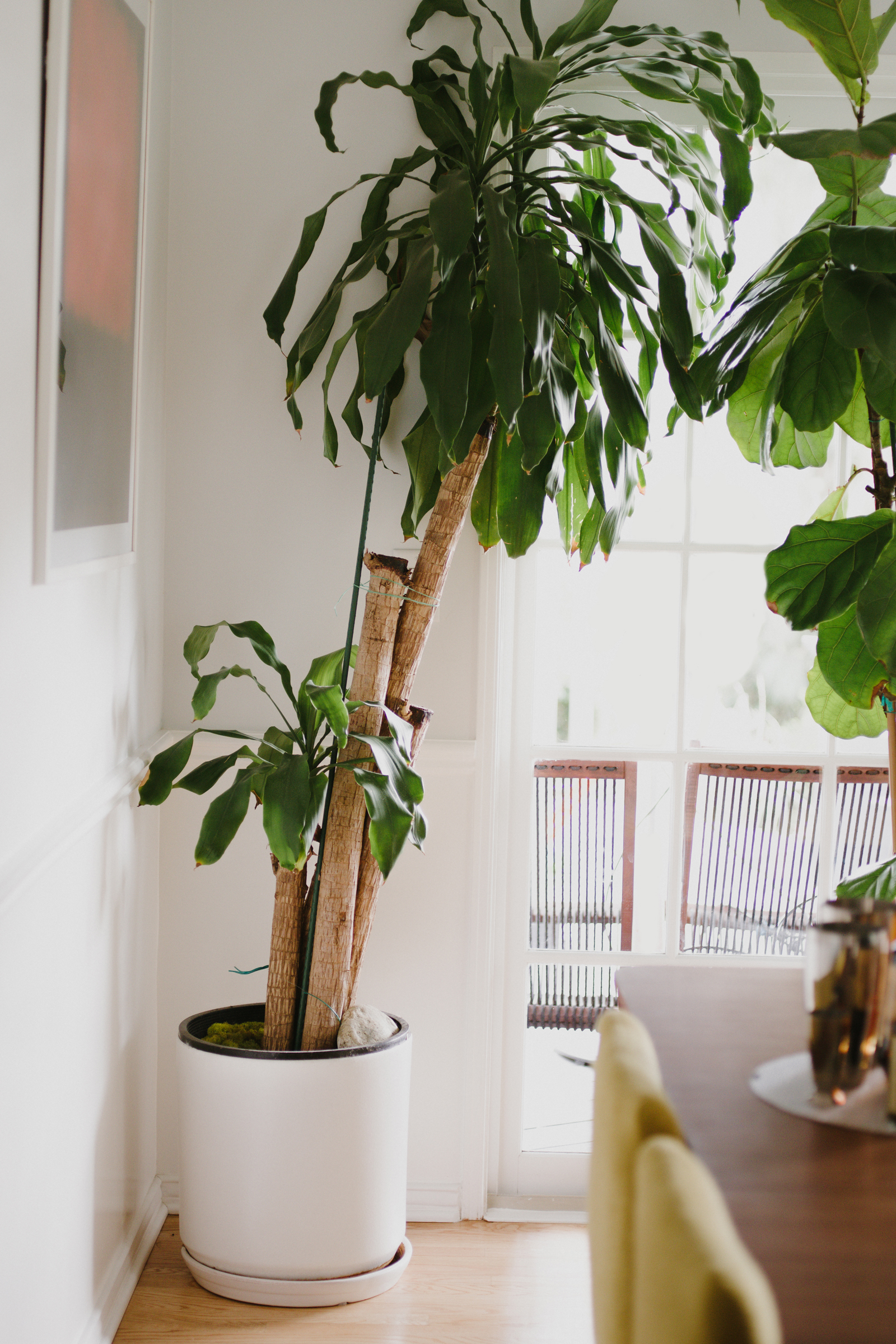 viet pasadena house sixtysix magazine 01